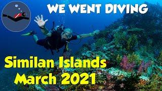 Diving Similans in the best the conditions! 