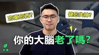 人的大腦為什麼會變老？答案就是因為"它” | 不老的腦 【好葉】