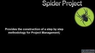 Spider Project. Why not ? (eighth edition)