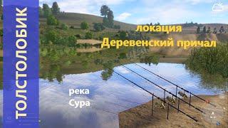 Русская рыбалка 4 - река Сура - Толстолобик у пристани