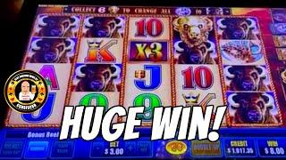 HUGE WIN on Buffalo Gold Slot Machine