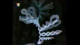 ПРАВДА О ДНК; ВОЛНОВАЯ ГЕНЕТИКА - ПЁТР ПЕТРОВИЧ ГАРЯЕВ