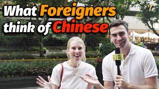 Funny Street Interviews: What do foreigners think of their Chinese friends?自从这群歪果仁发现中国同学的真面目以后
