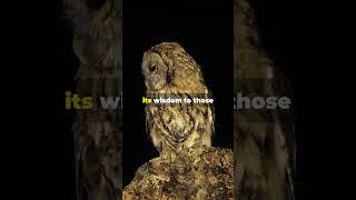 The Owl's Wisdom  A Night by the Pond  #aiart #buddha #chatgpt #zenstory #selfimprovement #animals