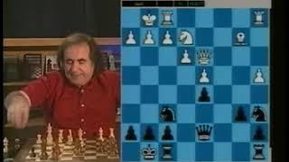 Chess Botvinnik vs  Capablanca