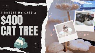 Reviewing KBS Pets Teddy Blanc Eden Cat Tree!