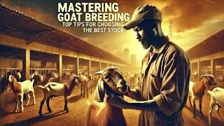 Mastering Goat Breeding: Top Tips for Choosing the Best Stock!