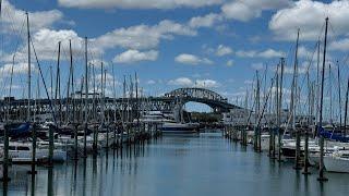 Westhaven Marina AucklandLive from New Zealand