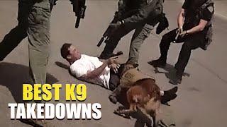  K9 Police Dogs in Action (Takedowns and Appearances)