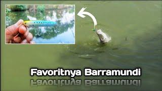 Umpan Ampuh Untuk Casting Kakap Putih - Barramundi Fishing - Ultralight Fishing