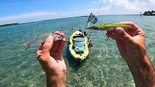 Clear Water Flats Sight Fishing With LIVE BAIT and Topwater - Big Fish!