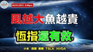 AI投資有道-港股美股研究 I 風越大魚越貴，恆指還有救？ I 阿里巴巴 I 騰訊 I 美團 I 小米 I 微盟 I 特斯拉 TSLA I 英偉達 NVDA