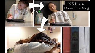 My First Year at University of Auckland & Waiparuru Halls in NZ    뉴질랜드 새내기의 대학 & 기숙사 생활