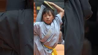 Watch: 9-year-old Chinese girl wins 2024 World Shaolin Kung Fu Star accolade