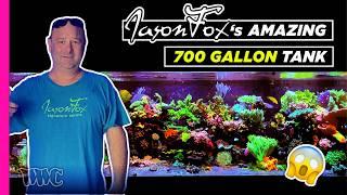 Exclusive Look into Jason Fox's Coral Tanks!