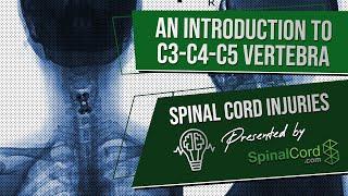 C3 C4 C5 Definitions. Cervical Spinal Cord Injury Symptoms, Causes, Treatments, and Recovery.