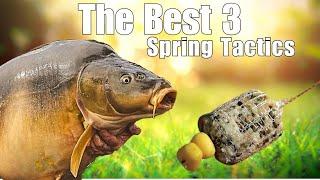 CARP FISHING - THE BEST SPRING TACTICS TO CATCH CARP