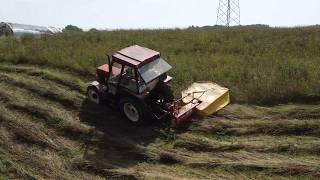 Zetor 5245 & Same Argon 80 - Košenje i baliranje u strani | Welger AP 630 | Lisicki Z-178 | 4K ASMR