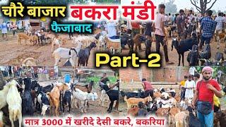 मात्र 3000 में खरीदे देसी बकरे, बकरिया |Fazibad chaure Bazar Bakra Mandi |Faizabad ki Bakra mandi