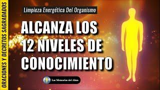  SAGRADA ORACIÓN  Limpieza Energética Del Organismo ️ Alcanza Los 12 Niveles De Conocimiento ️ 