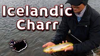 Hooking Charr in ICELAND - BurntFish Angling Episode 13