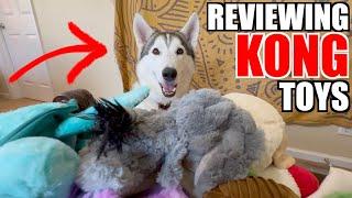 Reviewing Every Kong Toy At Petsmart!!!