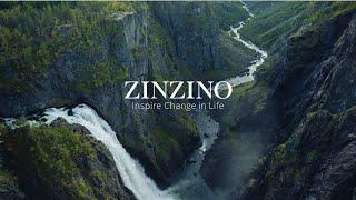 All Star USA Zinzino Business Presentation with Zinzino Black Crown Art Napolitano