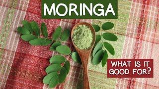 Miraculous Moringa Superfood - List of Key Attributes