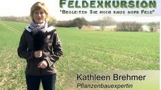 1. Feldexkursion: Rapsschädlinge und Maisaussaat - NU Agrar, 15.04.2015