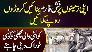 Fish Farming Business in Pakistan - Fish Farming Me Kitna Profit Hai? Konsi Fish Ki Demand Zyada Ha?