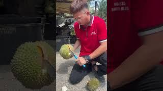 Unboxing Durian BlackThorn D200 #fruit #musangking #durian #malaccadurianheng #fypシ゚ #fruitcutting