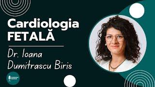 CARDIOLOGIE FETALA | Dr. Ioana Dumitrascu Biris