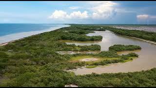 VENTA DE TERRENO FRENTE AL MAR EN DZILAM DE BRAVO YUCATÁN