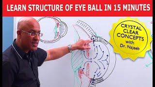 Learn Structure of Eye Ball in 15 Minutes