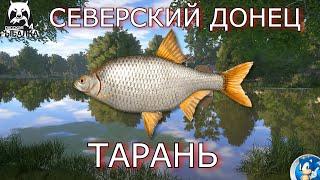 РЕКА СЕВЕРСКИЙ ДОНЕЦ ТАРАНЬРусская Рыбалка 4(РР4)