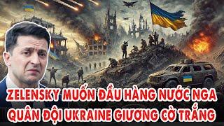 Tổng Thống Zelensky muốn đầu hàng nước Nga để giữ mạng: Quân đội Ukraine giương cờ trắng