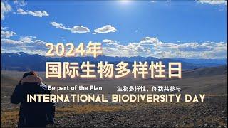 Volunteering for biodiversity conservation 在动物保护机构当志愿者是种什么体验？