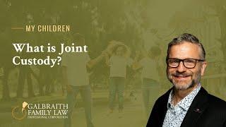What Is Joint Custody?
