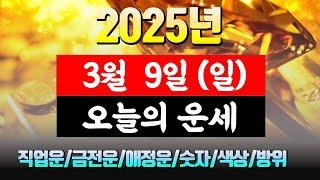 [오늘의 운세] 직업운 금전운 애정운 건강운 재물운 연애운 무료 운세 띠별 운세 2025.3.9(일)