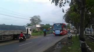 Konvoi Klakson Telolettt 3 Bus Putra Malindo-Weleri