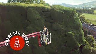 What It Takes to Maintain the Biggest Hedges in the U.K.