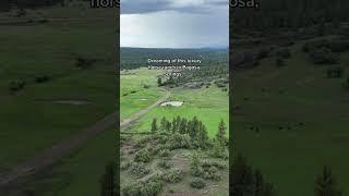 Dreaming Of This Luxury Horse Ranch in Pagosa Springs, Colorado