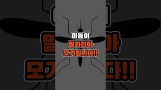 매우 위험한 말라리아 모기 구분하는 방법 #shorts #모기 #말라리아 #여름 #고열