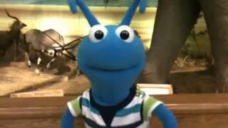 Bobby Hits New York! Part 9 - Evergreen Creative Ministries