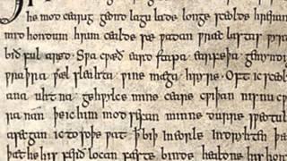 Old English Wisdom: Maxims II and The Wanderer