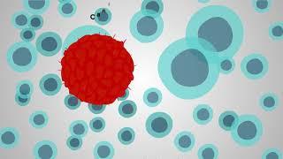 Towards more efficient ways to diagnose cancer