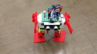 3D Print Biped Robot - Armor Bob