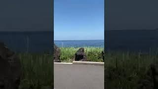 아우디 A5 카브리올레 제주 해안도로 드라이브 (Audi A5 Cabriolet driving in Jeju coast road) #shorts