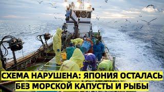 В Японии не согласны: Россия Закрыла Доступ Японским Рыбакам к Южным Курилам из-за Санкций
