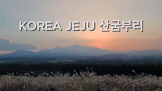 KOREA JEJU #산굼부리 #가을 #풍경 #일몰 #억새 #한라산 Jeju Sangumburi Autumn Scenery, Beautiful Jeju autumn scenery